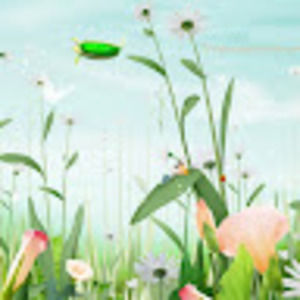 Meet your Posher, Marisa